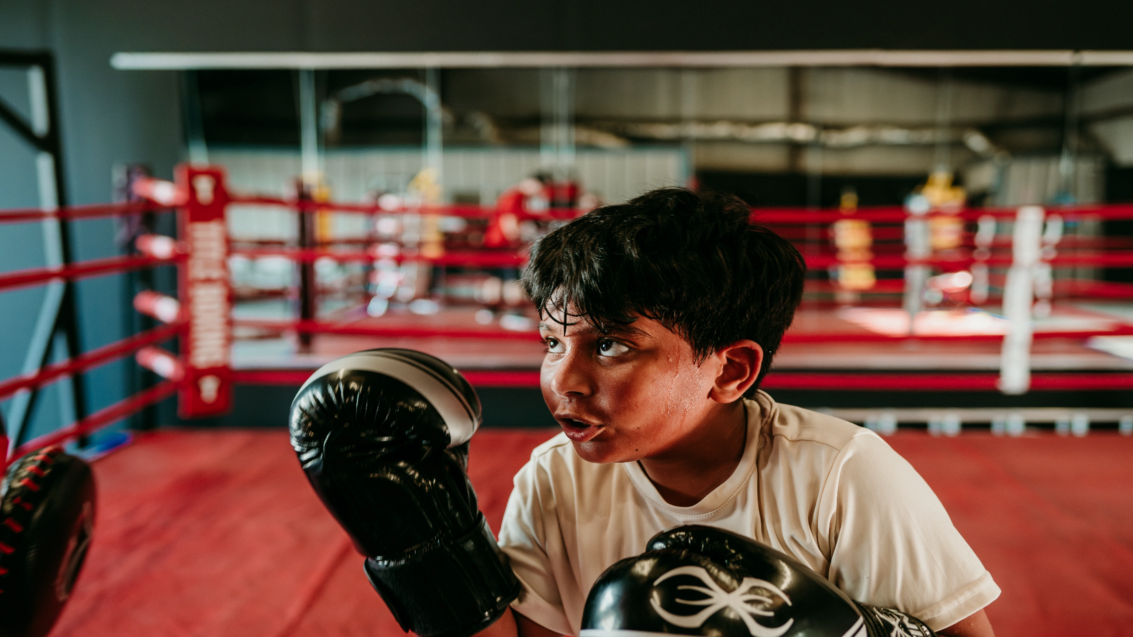 Young boxer in stance during training at the gym